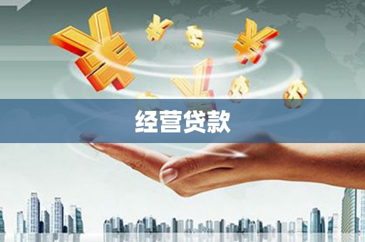 卑南经营贷款