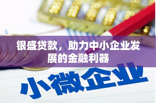 卑南银盛贷款，助力中小企业发展的金融利器