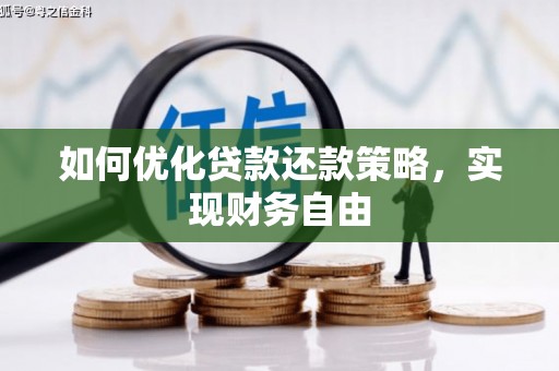 卑南如何优化贷款还款策略，实现财务自由