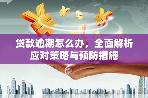 卑南贷款逾期怎么办，全面解析应对策略与预防措施