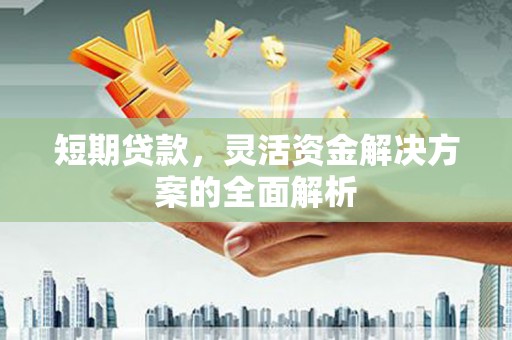 卑南短期贷款，灵活资金解决方案的全面解析