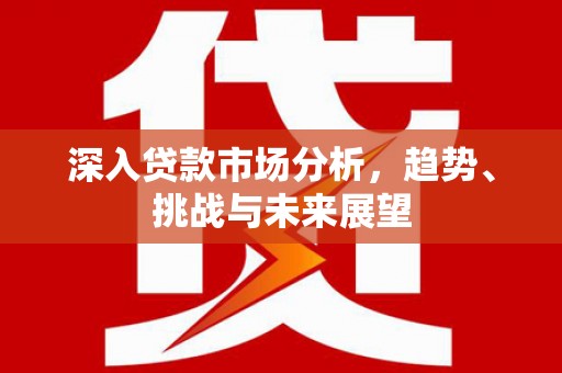 卑南深入贷款市场分析，趋势、挑战与未来展望