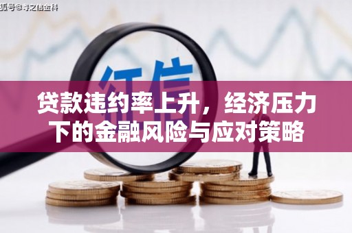 卑南贷款违约率上升，经济压力下的金融风险与应对策略