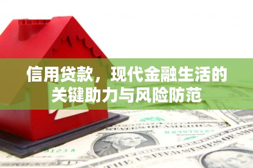 卑南信用贷款，现代金融生活的关键助力与风险防范