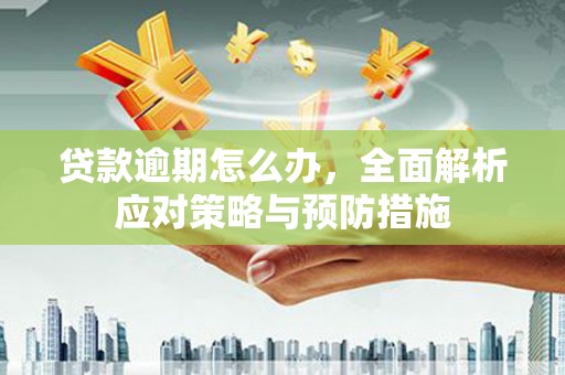 卑南贷款逾期怎么办，全面解析应对策略与预防措施