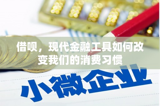 卑南借呗，现代金融工具如何改变我们的消费习惯