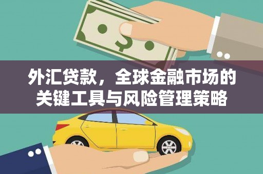 卑南外汇贷款，全球金融市场的关键工具与风险管理策略