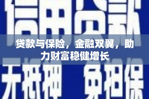 卑南贷款与保险，金融双翼，助力财富稳健增长