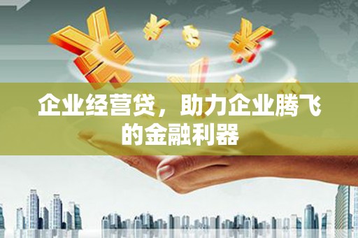 卑南企业经营贷，助力企业腾飞的金融利器