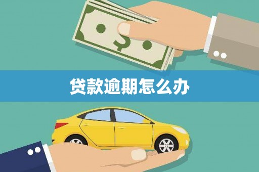 卑南贷款逾期怎么办
