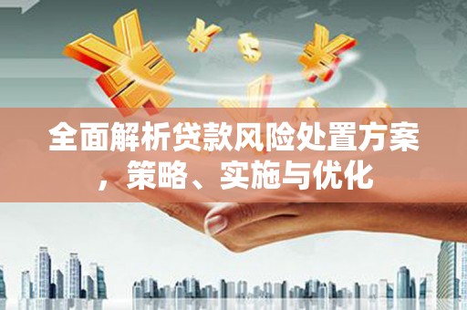 卑南全面解析贷款风险处置方案，策略、实施与优化