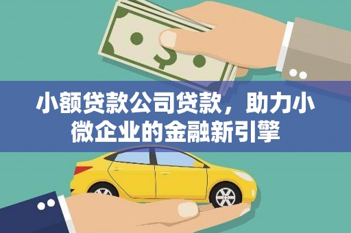 卑南小额贷款公司贷款，助力小微企业的金融新引擎