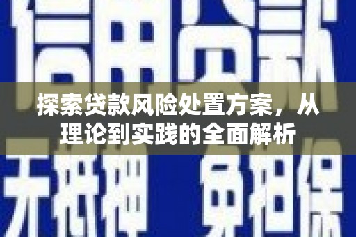 卑南探索贷款风险处置方案，从理论到实践的全面解析