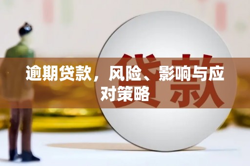 卑南逾期贷款，风险、影响与应对策略