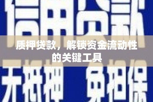 卑南质押贷款，解锁资金流动性的关键工具