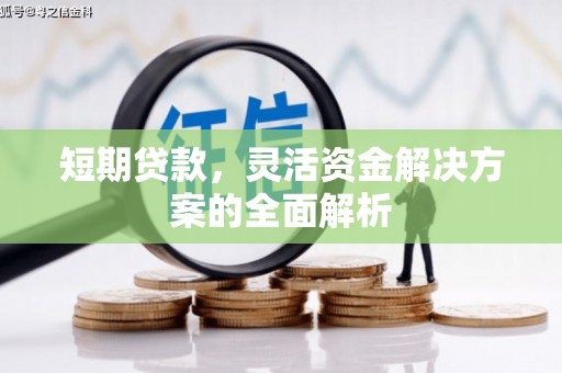 卑南短期贷款，灵活资金解决方案的全面解析