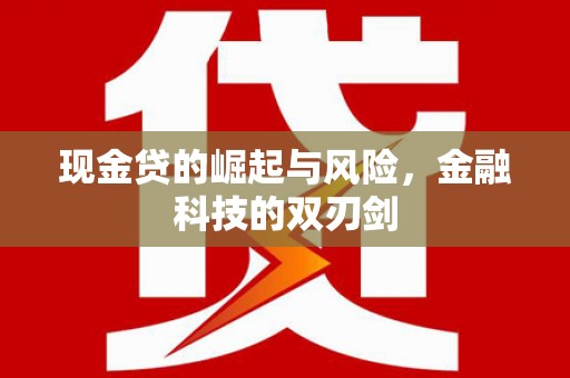 卑南现金贷的崛起与风险，金融科技的双刃剑