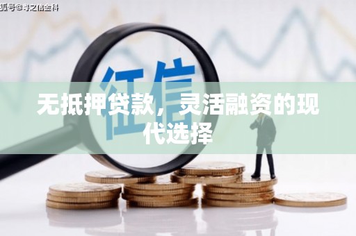 卑南无抵押贷款，灵活融资的现代选择