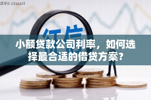 卑南小额贷款公司利率，如何选择最合适的借贷方案？