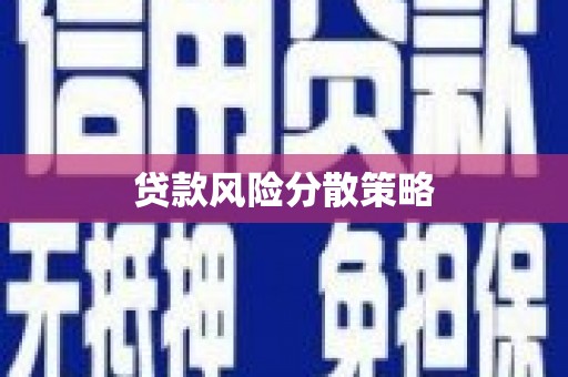 卑南贷款风险分散策略
