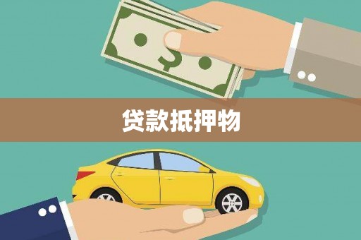 卑南贷款抵押物