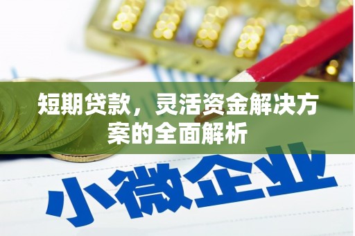 卑南短期贷款，灵活资金解决方案的全面解析