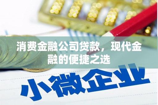 卑南消费金融公司贷款，现代金融的便捷之选