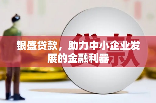卑南银盛贷款，助力中小企业发展的金融利器