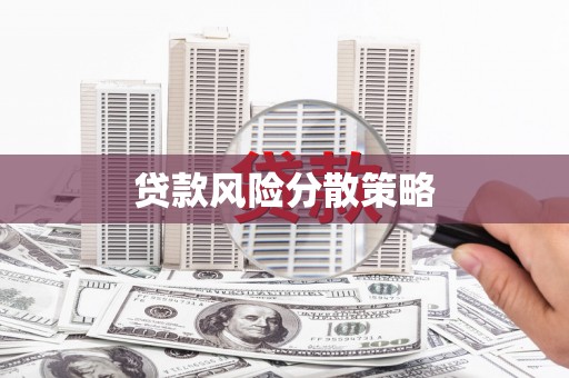 卑南贷款风险分散策略