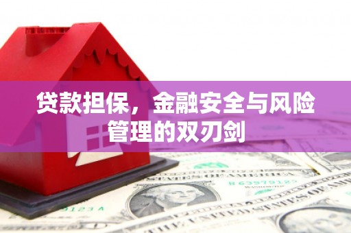 卑南贷款担保，金融安全与风险管理的双刃剑