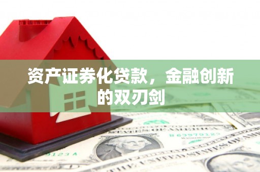 卑南资产证券化贷款，金融创新的双刃剑