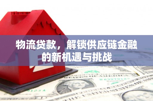 卑南物流贷款，解锁供应链金融的新机遇与挑战