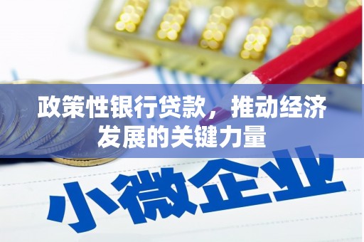 卑南政策性银行贷款，推动经济发展的关键力量