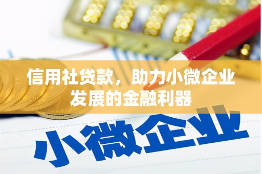 卑南信用社贷款，助力小微企业发展的金融利器