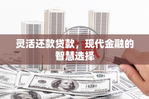 卑南灵活还款贷款，现代金融的智慧选择