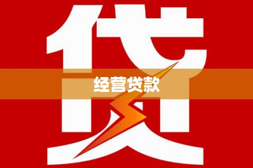 卑南经营贷款