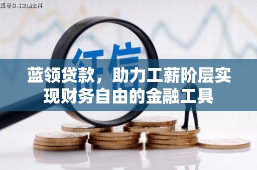 卑南蓝领贷款，助力工薪阶层实现财务自由的金融工具