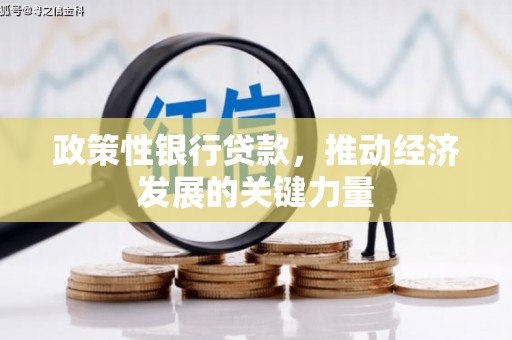 卑南政策性银行贷款，推动经济发展的关键力量
