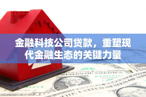 卑南金融科技公司贷款，重塑现代金融生态的关键力量