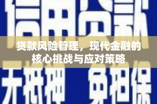 卑南贷款风险管理，现代金融的核心挑战与应对策略