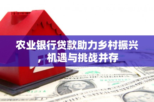 卑南农业银行贷款助力乡村振兴，机遇与挑战并存