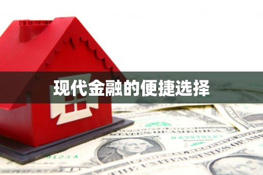 卑南现代金融的便捷选择
