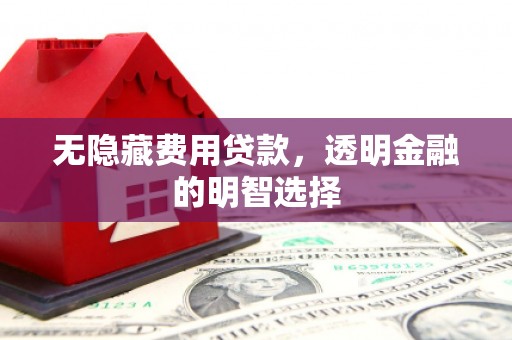 卑南无隐藏费用贷款，透明金融的明智选择