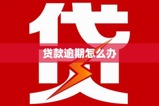 卑南贷款逾期怎么办