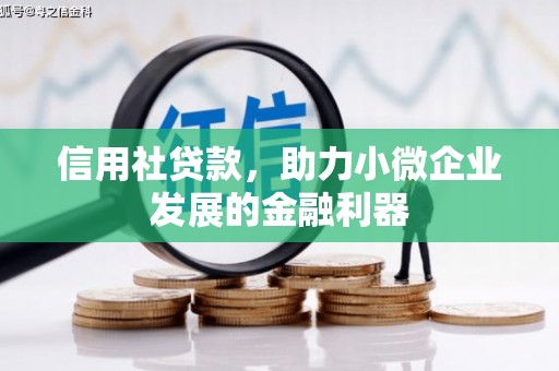 卑南信用社贷款，助力小微企业发展的金融利器