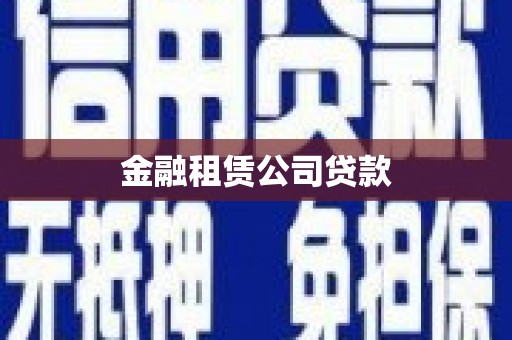 卑南金融租赁公司贷款