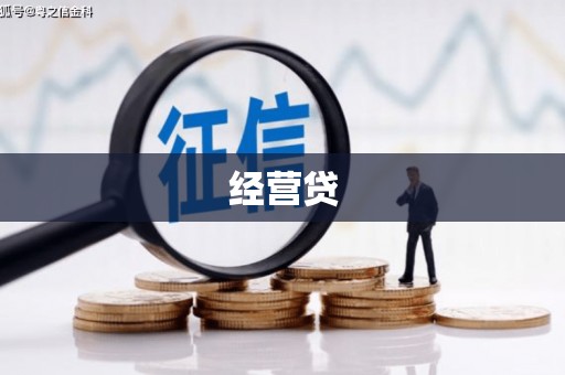 卑南经营贷