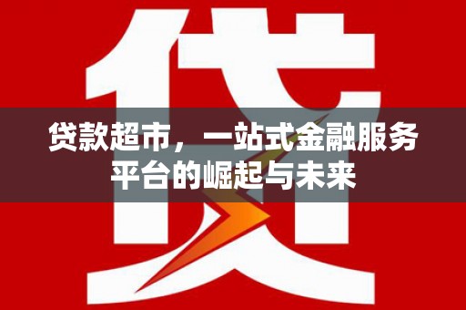 卑南贷款超市，一站式金融服务平台的崛起与未来