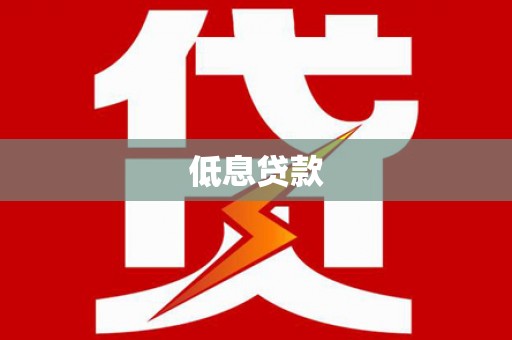 卑南低息贷款