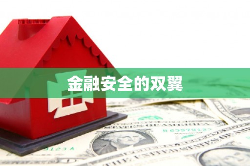 卑南金融安全的双翼